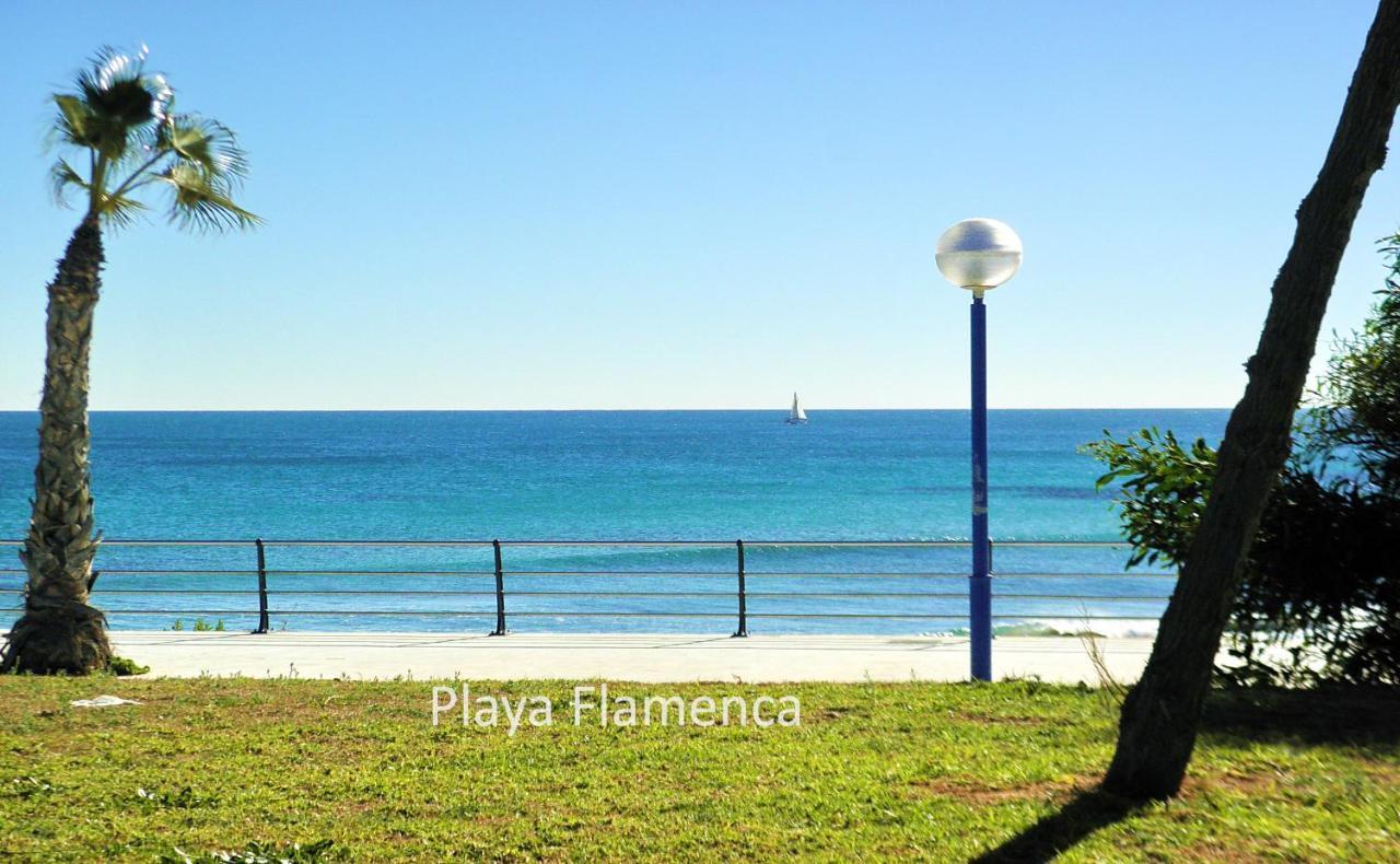 Apartment With Large Roof Solarium Dehesa de Campoamor  Exterior foto